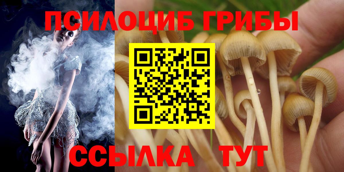 Псилоцибиновые грибы Psilocybine cubensis  Вход с VPN  Псилоцибиновые грибы Psilocybe  Миасс 